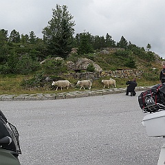IMG_5846.JPG