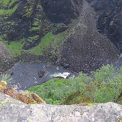 IMG_5896.JPG
